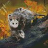 Virginia Opossum diamond painting