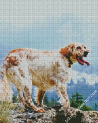 English Setter Dog Breed diamond painting