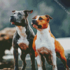 American Staffordshire Terrier Dogs diamond painting