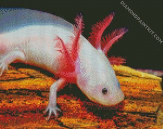 Amphibian Axolotl diamond painting