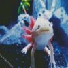 Axolotl Animal diamond painting