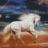 Beautiful White Andalusian Horse diamond painting