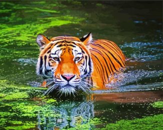 Bengal Tiger Swimming diamond painting