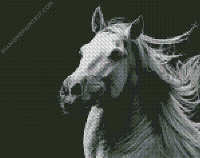 Black And White Andalusian Horse diamond painting