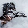 Black Andalusian Horse And Smoke diamond painting