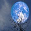 Blue Full Moon diamond painting