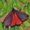 Cinnabar Moth diamond painting