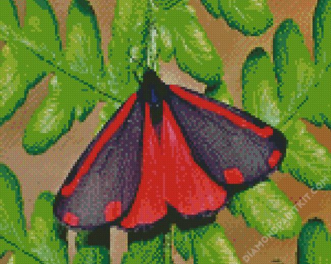 Cinnabar Moth diamond painting