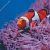 Clown Fish And Anemones diamond painting