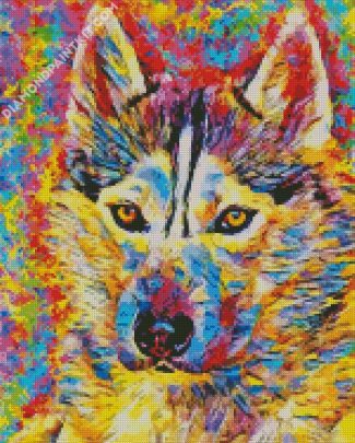 Colorful pomsky diamond painting