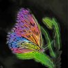 Fantasy Butterfly diamond painting