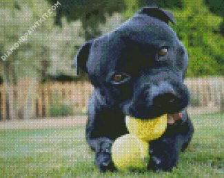Staffordshire Bull Terrier With Tennis Balls diamond painting