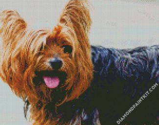 Yorkshire Terrier Puppy diamond painting