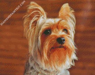 Beige And Brown Yorkshire Terrier diamond painting