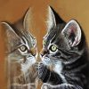 Kitten Reflection diamond painting