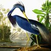 Louisiana Heron By John James Audubon diamond painting