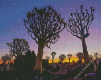Namibia Aloe Dichotoma Trees diamond painting
