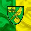 Norwich City Football Club Logo diamond painting