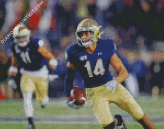 Notre Dame Fighting Player diamond painting