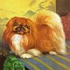 Pekingese Dog Art diamond painting