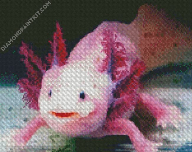 Pink Axolotl diamond painting