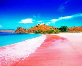 Pink Beach Komodo Island diamond painting