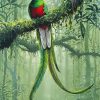 Resplendent Quetzal diamond painting