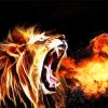 Roaring Lion Fire diamond painting
