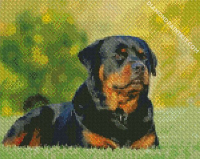 Rottweiler Dog diamond painting