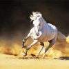 Running White Andalusian Horse diamond painting