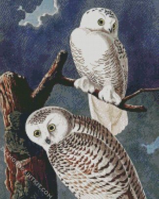 Snowy Owl By John James Audubon diamond painting