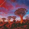 Southern Namibia Aloe Dichotoma Trees diamond painting