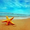 Starfish By Sea diamond painting