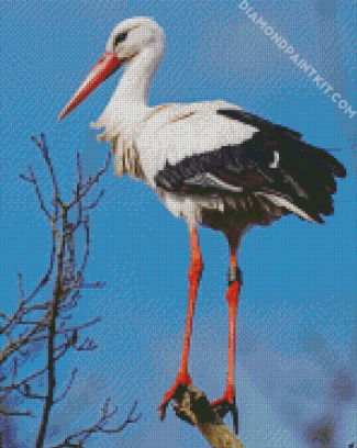 Stork Bird diamond painting