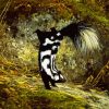 Striped Skunk Animal diamond painting