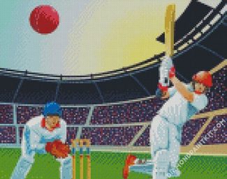 The Cricket Match Player diamond painting