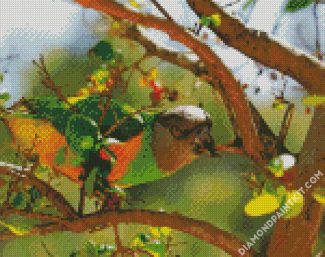 The Senegal Parrot Bird Diamond painting