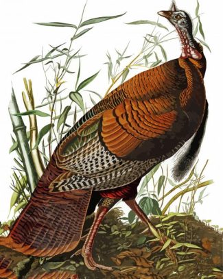 The Wild Turkey By John James Audubon diamond painting