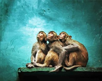 Three Monkeys diamond painting