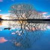 Tree Reflection On Lake diamond painting