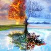 Tree Through the Seasons diamond painting