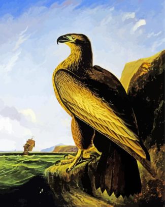 Washington Sea Eagle By John James Audubon diamond painting
