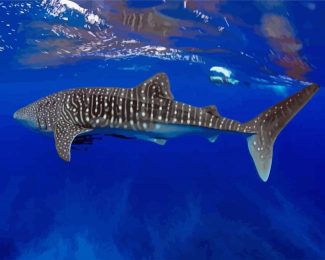 Whale Shark Underwater diamond painting