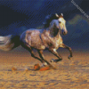 White Andalusian Horse In The Desert diamond painting