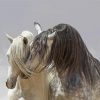 White Andalusian Horses diamond painting