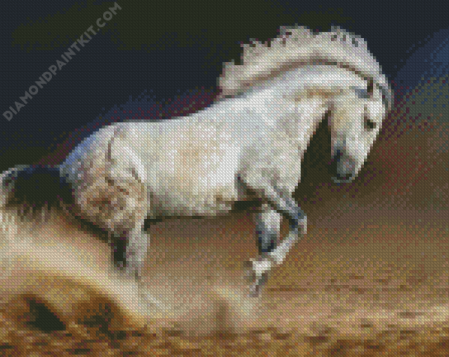 White Andalusian Horse diamond painting