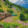 White Pass & Yukon Route Railway Alaska diamond painting