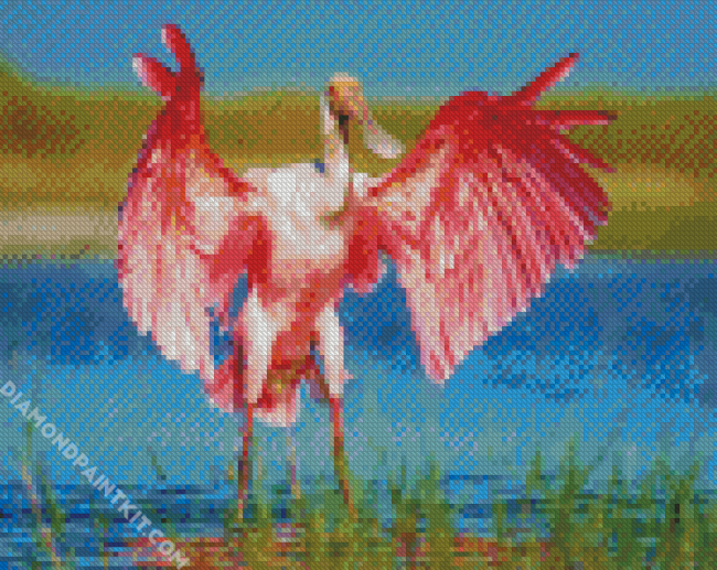 Aesthetic Spoonbill Pink Bird diamond painting