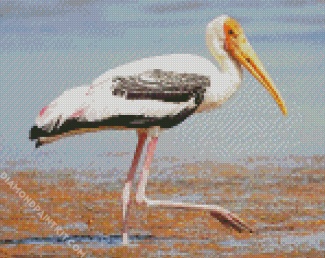 Aesthetic Stork Bird diamond painting