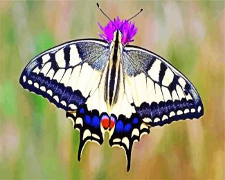 Aesthetic Swallowtail Butterfly diamond painting